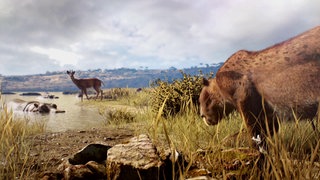 Was ist der Steinheimer Schneckensand? · Frage trifft Antwort