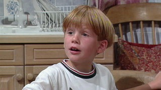 The Picnic · Wizadora