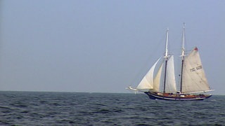 Ganz schön windig · total phänomenal