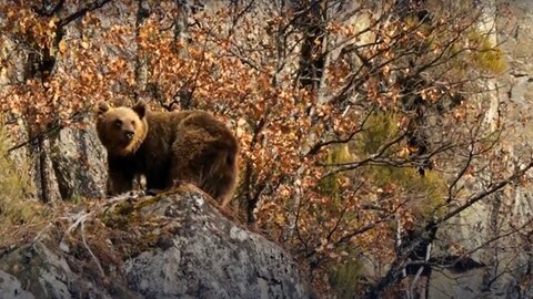 Rettung in letzter Minute