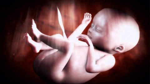 Animiertes Bild: Ein Baby im Bauch der Mutter.