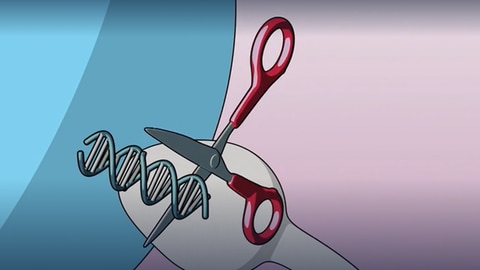 Gen-Ethik · total phänomenal