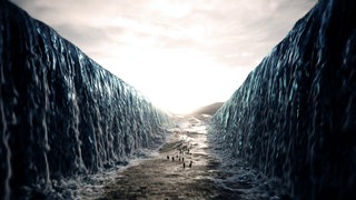 Die Kinderpropheten und der Papst · Der Kreuzzug der Kinder