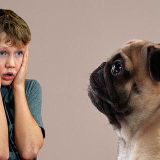 Links ein besorgter Junge, rechts ein trauriger Mops