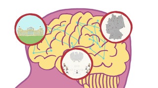 Grafik eines Gehirns mit kleinen Symbolen für das Gedächtnis.