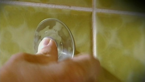 Saugstark · total phänomenal