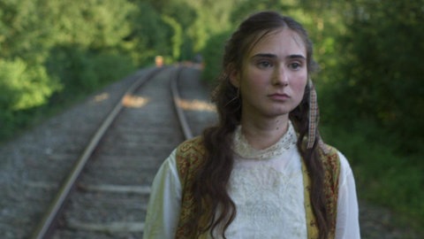 Der Ausbruch des Krieges · Tagebücher des Ersten Weltkriegs