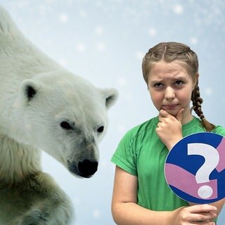 Das Bild zeigt einen mageren Eisbären und ein nachdenkliches Kind mit Fragezeichen-Schild.