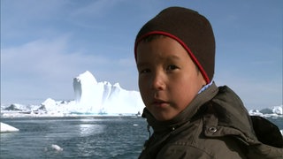 Grönland: Erdbeeren am Polarkreis