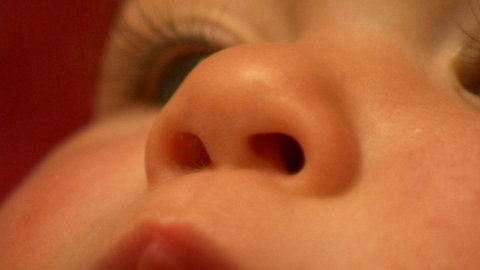 Super Noses · Totally Phenomenal