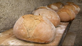 Wie backt man Brot? · Frage trifft Antwort