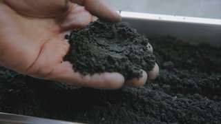 Pflanzenkohle in einer Hand.