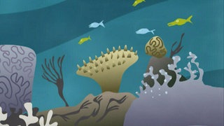 Wasser · Elemente stellen sich vor