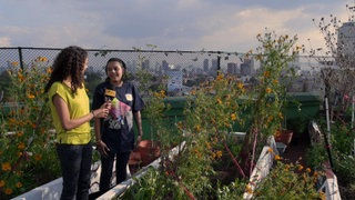 El futuro · ¡Pregunta ya!