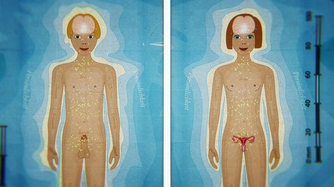 Animiert – Ein Junge und ein Mädchen sind zu sehen, ihre Geschlechtsorgane und das Hirn sind eingezeichnet.