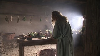 De cibo Romanorum · Experimentum Romanum