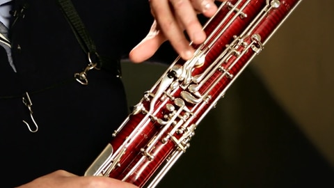 Das Fagott · Instrumente im Sinfonieorchester: Ein Musiker stellt das Insturment vor und zeigt wie es klingt.