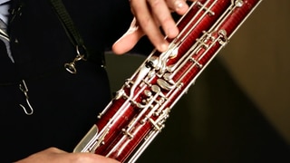 Das Fagott · Instrumente im Sinfonieorchester: Ein Musiker stellt das Insturment vor und zeigt wie es klingt.