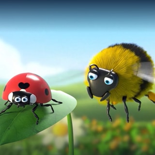 Wie sähe die Welt ohne Insekten aus? · Frage trifft Antwort