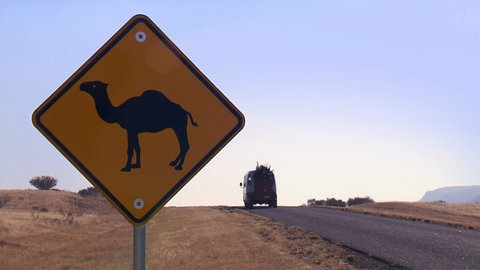 Schild mit Dromedar