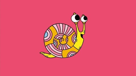 Schnecke · Ich kenne ein Tier