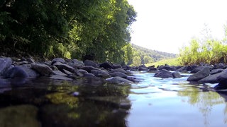Wohin verschwindet die Donau im Sommer? · Frage trifft Antwort