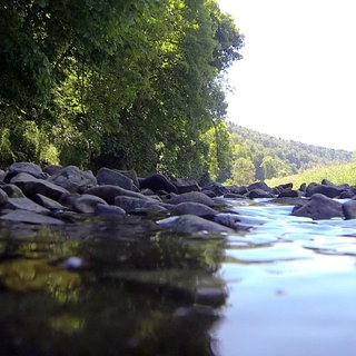 Wohin verschwindet die Donau im Sommer? · Frage trifft Antwort