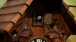 Wieso gibt’s die Kuckucksuhr? · Frage trifft Antwort