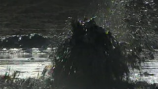 The Versatility of Crude Oil · Totally Phenomenal