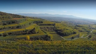 Wieso ist das Klima am Kaiserstuhl so mild? · Frage trifft Antwort