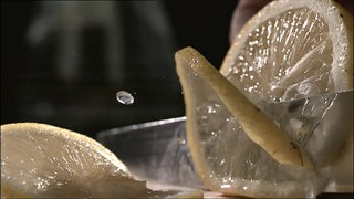 The Sense of Taste · Totally Phenomenal