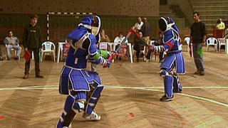 Was ist Jogo do Pau? · Frage trifft Antwort