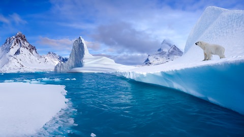 Eisbär steht an einer verschneiten Küste im Nordosten Grönlands