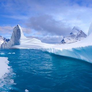 Eisbär steht an einer verschneiten Küste im Nordosten Grönlands