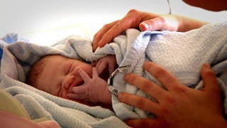 Namensrecht · Die Sofa-Richter