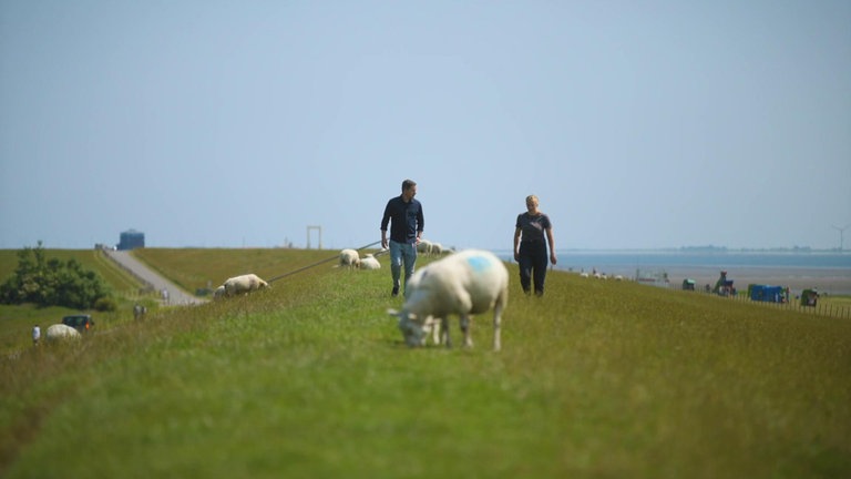 Recht auf Klimaschutz? · Das Bundesverfassungsgericht