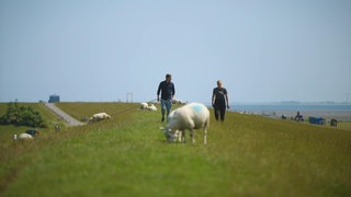 Recht auf Klimaschutz? · Das Bundesverfassungsgericht