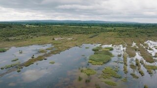 Blick über eine irische Moorlandschaft