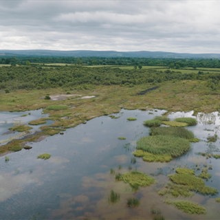 Blick über eine irische Moorlandschaft
