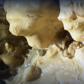 Wie sieht es in einer Karsthöhle aus? · Frage trifft Antwort