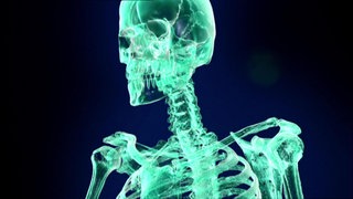 Wie funktioniert ein Computertomograph? · Frage trifft Antwort