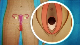 Animiert – Ein nackter Körper und eine Nahaufnahme des Scheideneingangs inklusive des Jungfernhäutchens. 