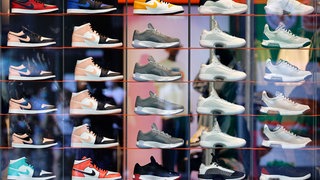 Unterschiedliche Sneakermodelle in einem Geschäft. Wie funktioniert der Hype um die Sneaker und das Geschäft?