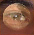 Der Mond beeinflusst die Empfindlichkeit unserer Augen.