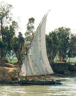 Segelboot auf dem Nil
